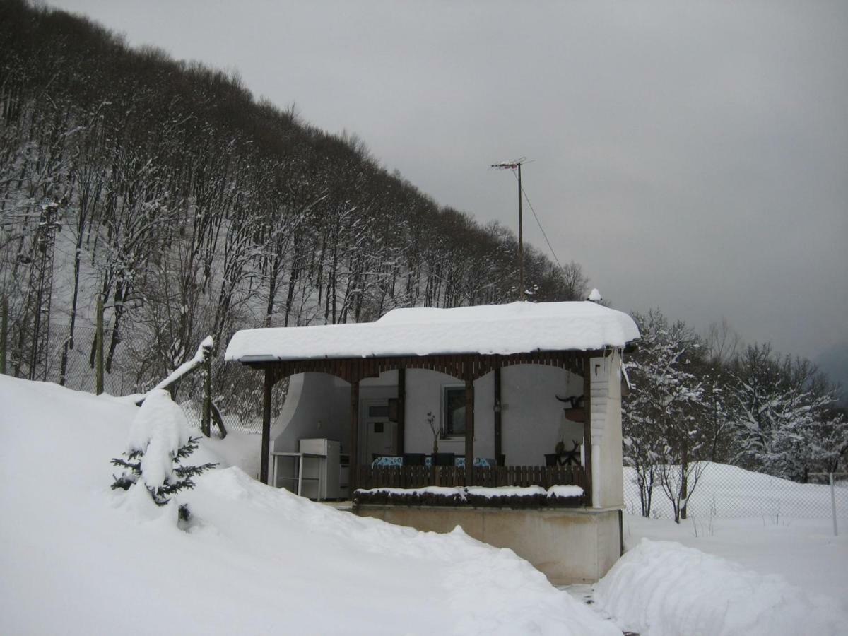 Bungalows Zdravets Berkovitsa Luaran gambar