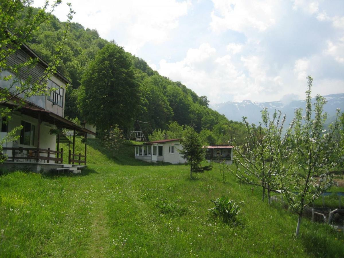 Bungalows Zdravets Berkovitsa Luaran gambar
