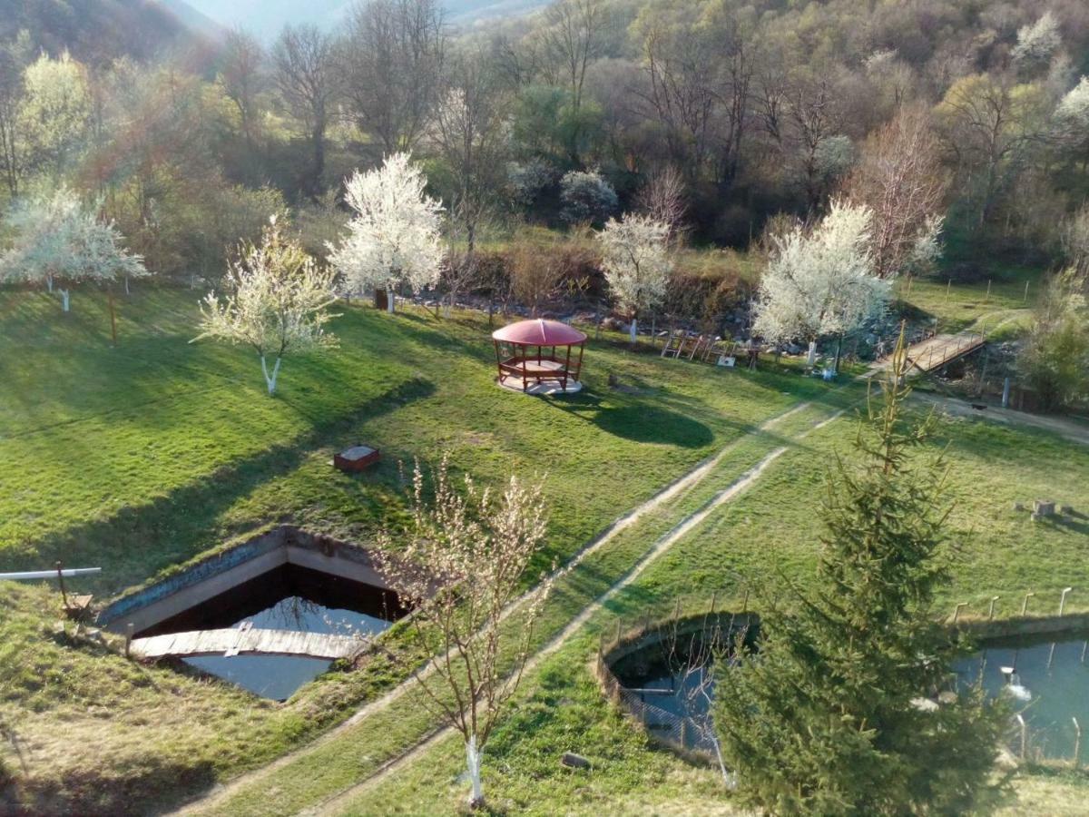 Bungalows Zdravets Berkovitsa Luaran gambar