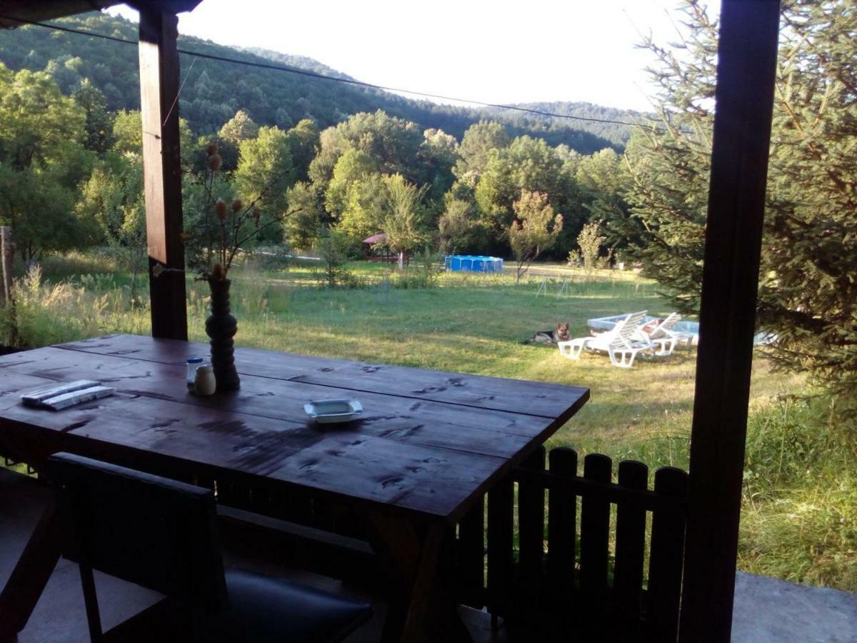 Bungalows Zdravets Berkovitsa Luaran gambar