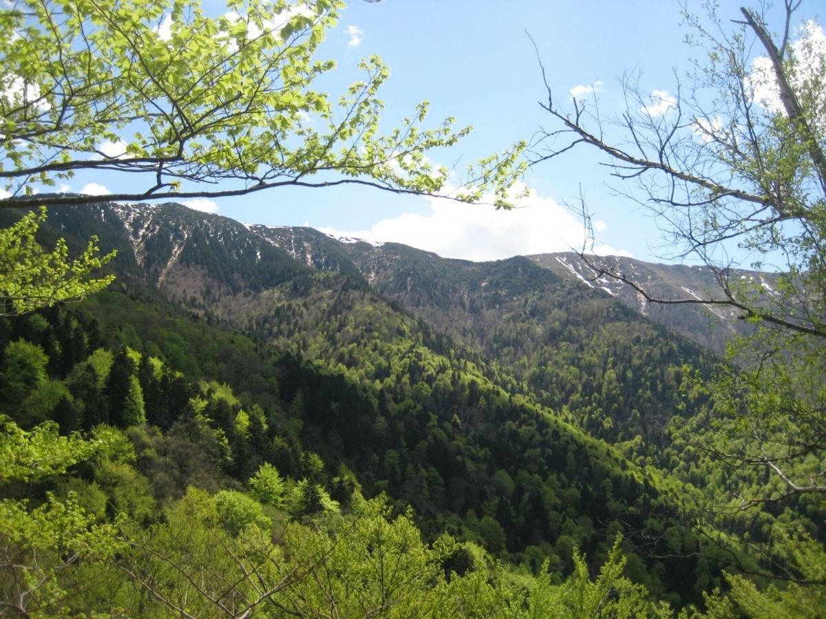 Bungalows Zdravets Berkovitsa Luaran gambar