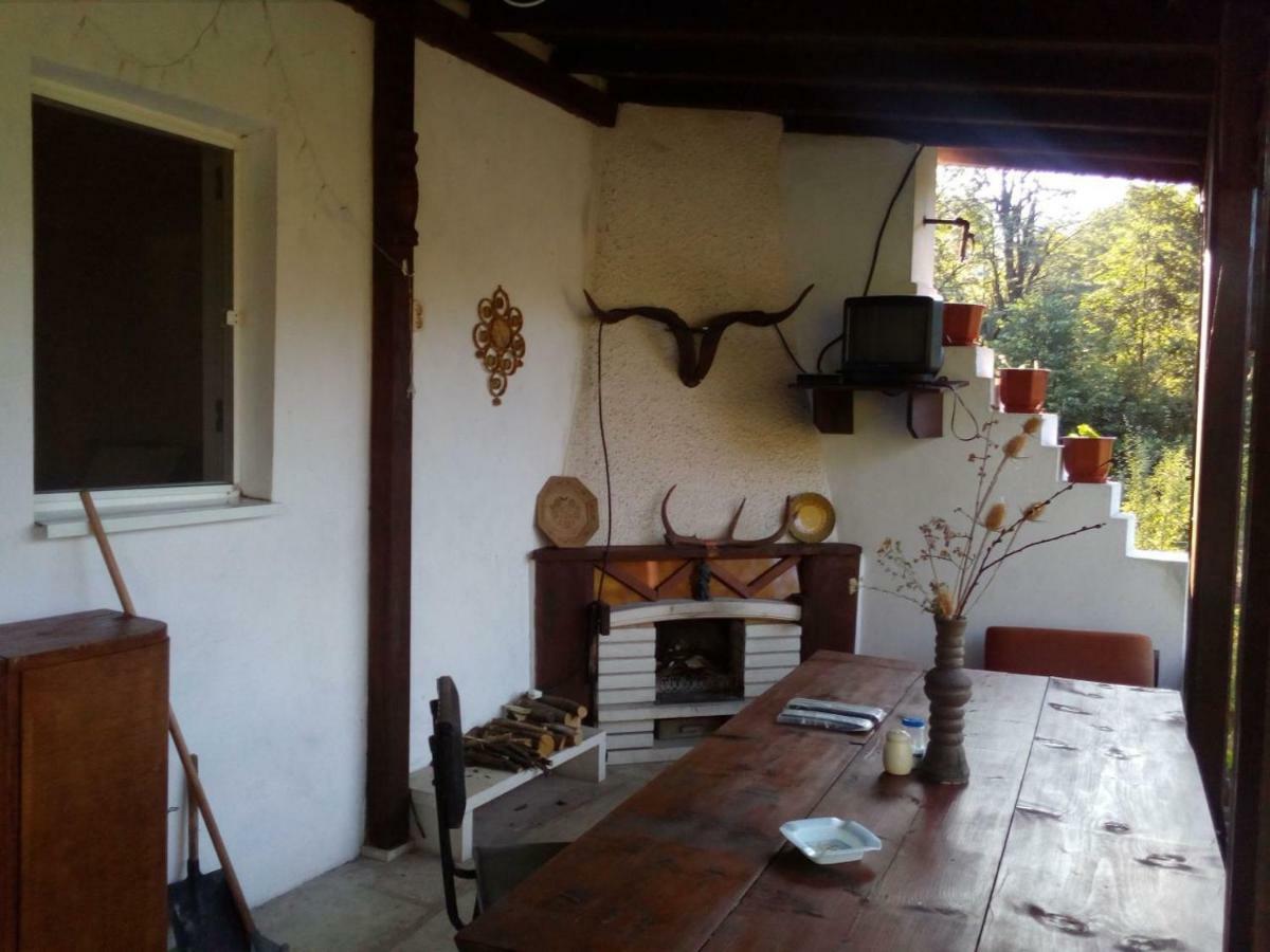 Bungalows Zdravets Berkovitsa Luaran gambar
